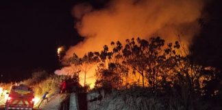 Karhutla di Kalimantan Membuat Warga Tercekik Kabut Asap Seumur Hidup karhutla di Kalimantan