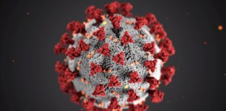 virus influenza