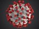 virus influenza