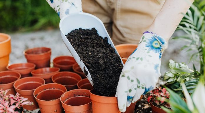 hukum menjual barang terkena najis