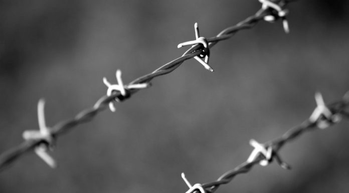 Kaum Muslimin di medan peran