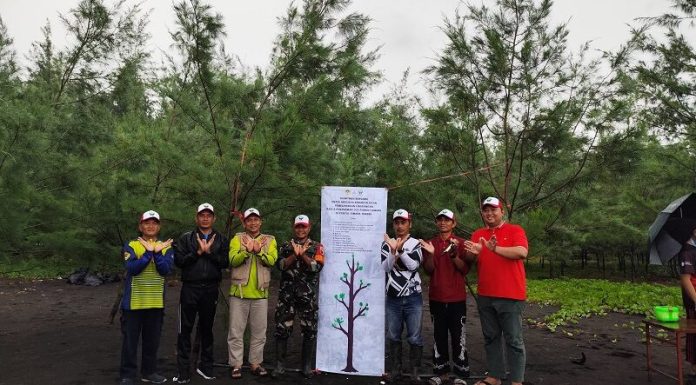 DPD LDII Jember Menanam 500 Bibit Cemara di Pantai DPD LDII Jember