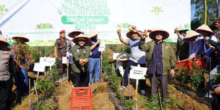 Muhammadiyah dorong pemerintah
