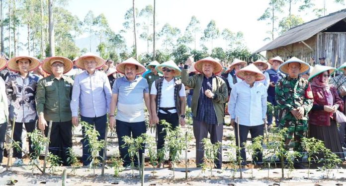 Muhammadiyah dorong pemerintah