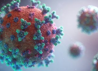 Virus Monkeypox Terdeteksi di Indonesia, Simak Pandangan Islam Tentang Kesehatan virus Monkeypox
