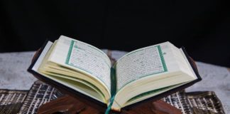 rasa takut berlebihan