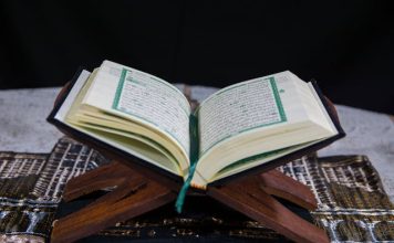 rasa takut berlebihan