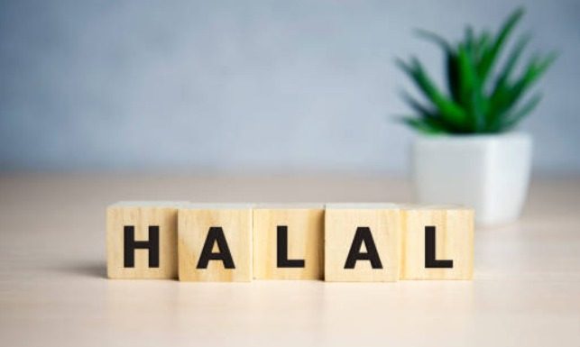 industri halal di Indonesia
