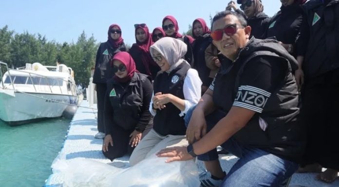 IPPNU Menebarkan Ikan Hias dan Tanam Bakau, Wujud Nyata Cinta Lingkungan IPPNU menebarkan ikan hias