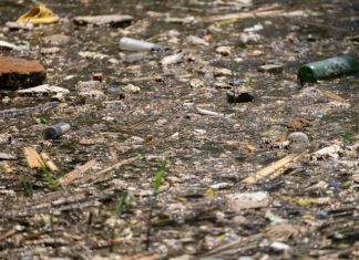 Kerusakan hutan picu banjir