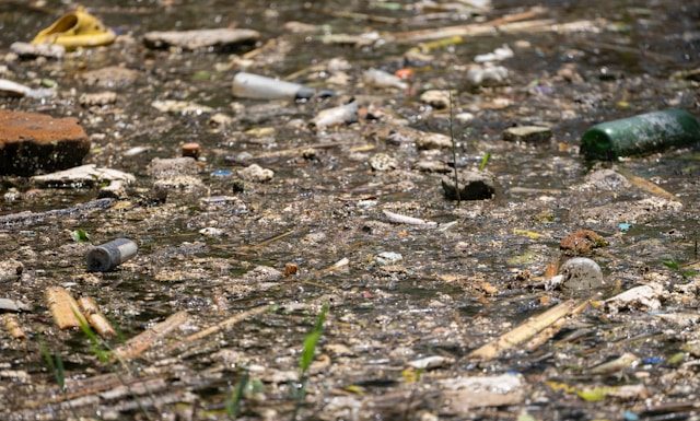 Kerusakan hutan picu banjir