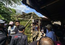 Maling Ayam di Bali Diamuk Massa, Begini Pandangan Islam soal Main Hakim Sendiri Maling ayam di Bali