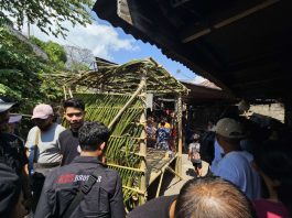 Maling Ayam di Bali Diamuk Massa, Begini Pandangan Islam soal Main Hakim Sendiri Maling ayam di Bali