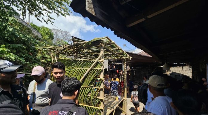 Maling ayam di Bali