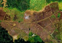 hukum mengubah fungsi tanah wakaf