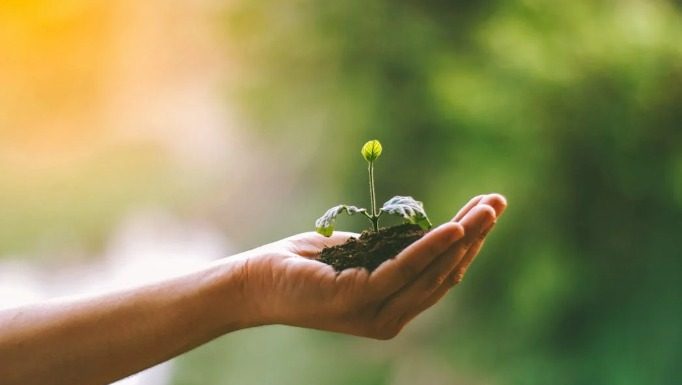 Menjaga lingkungan dalam Islam