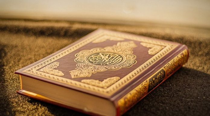 tafsiran al mulk