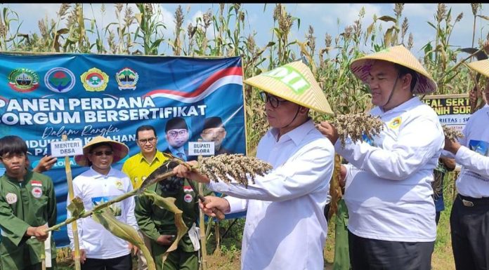 LDII menggagas kegiatan pertanian kota