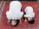 Berbicara Saat Shalat Tanpa Sengaja Apakah Langsung Batal? Berbicara saat shalat tanpa sengaja