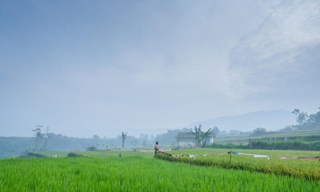 cara menarik energi positif di alam semesta