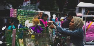 Cara Mengendalikan Keinginan Membeli Barang Tidak Dibutuhkan Cara mengendalikan keinginan membeli barang