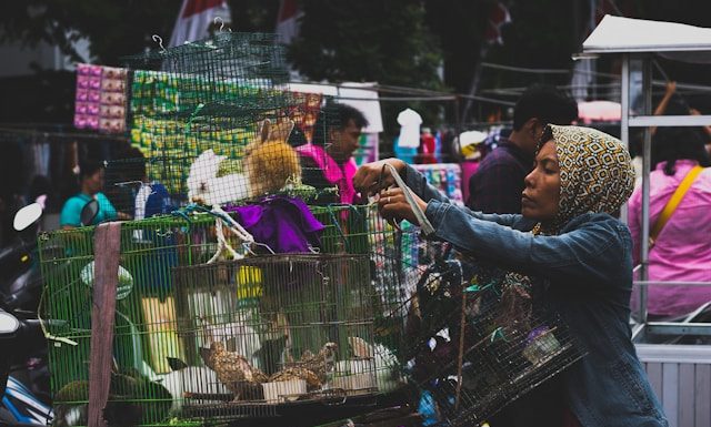 Cara mengendalikan keinginan membeli barang