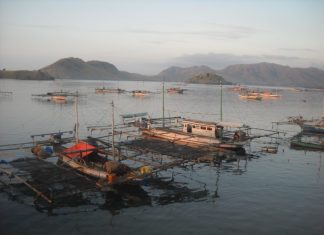 Adanya Aktivitas Bagang Sebabkan Kerusakan Ekosistem Laut di Pangandaran, Hati-Hati! Ini Akibatnya Menurut Islam Adanya Aktivitas Bagang 1