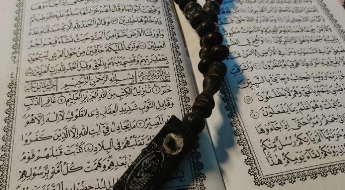 Al Mukminun ayat 12 14