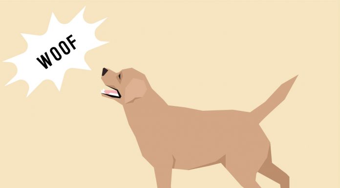 Anjing Diseret Pakai Becak Motor 2