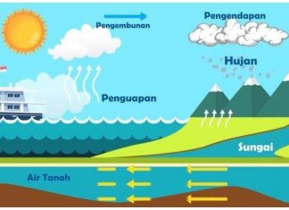 Apa Itu Siklus Hidrologi? Ketahui Pengertian dan Cara Menjaga Air Dalam Islam apa itu siklus hidrologi