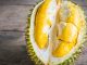 Apakah Kandungan Alkohol dalam Durian Membuat Buah ini Haram