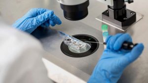 Asmirandah Pilih Bayi Tabung dan Pandangan Islam Tentang Bayi Tabung