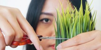 Batas Waktu Mencukur Bulu Kemaluan