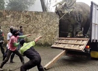 Heboh Dinosaurus di Magetan, Adakah Pembahasan Mengenai Hewan Purba di Al Quran?