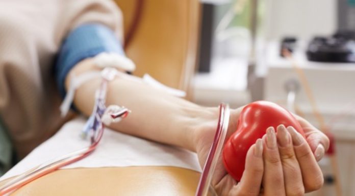Donor Darah Batalkan Puasa 1