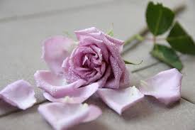 Drama Korea The World of Married Gambarkan Dilarangnya Selingkuh