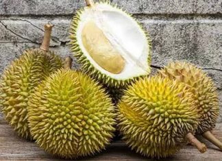 Duren Mengandung Alkohol, Bagaimana Hukum Memakannya? Duren Mengandung Alkohol
