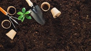 Family Farming Itu Bisa Jadi Pemenuhan Kebutuhan Pangan Secara Mandiri