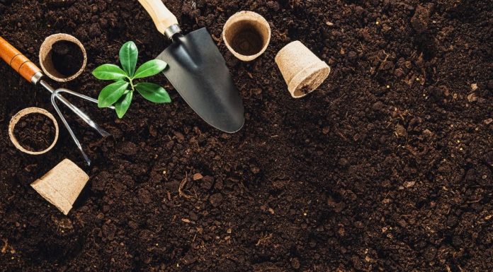 Family Farming Itu Bisa Jadi Pemenuhan Kebutuhan Pangan Secara Mandiri