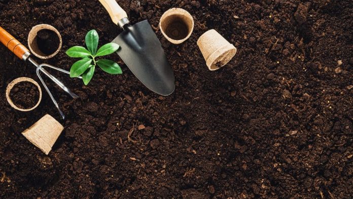 Family Farming Itu Bisa Jadi Pemenuhan Kebutuhan Pangan Secara Mandiri