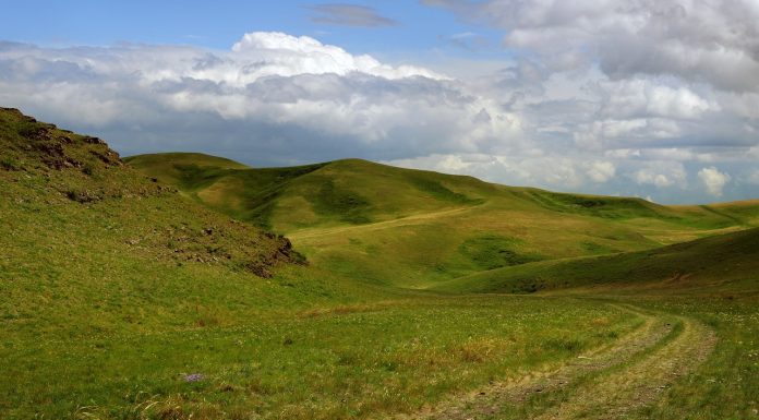 tanah Arab menghijau