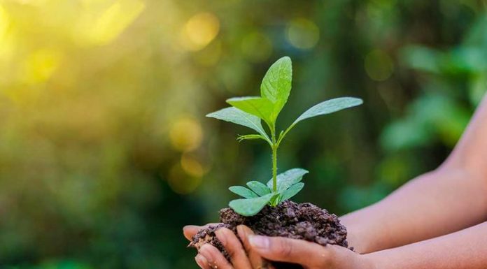 Hari Lingkungan Hidup Sedunia