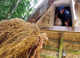 Hari Pangan Sedunia, Muslim Jangan Khawatir tidak Bisa Makan