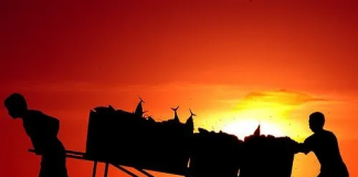 Hidup-Sukses-dalam-Kemandirian