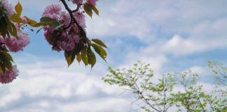 Hikmah penciptaan Nabi Adam AS