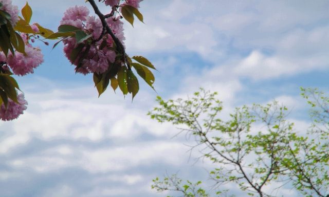 Hikmah penciptaan Nabi Adam AS