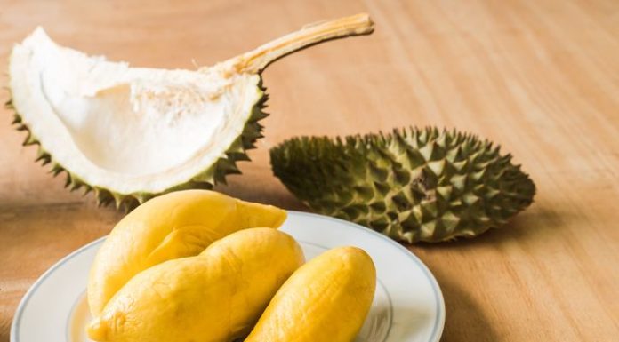 Hukum Makan Makanan Beralkohol Seperti Tape dan Durian Hukum Makan Makanan Beralkohol