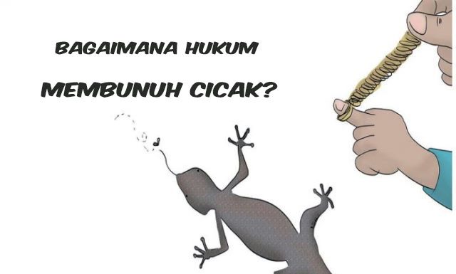 Hukum Membunuh Cicak dan Doa Mengusirnya