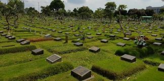 Hukum mencabut rumput di atas makam