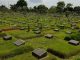 Ternyata Begini Hukum Mencabut Rumput di Atas Makam Hukum mencabut rumput di atas makam